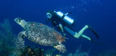 Fethiye scuba diving