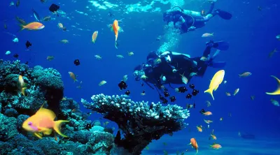 Fethiye scuba diving